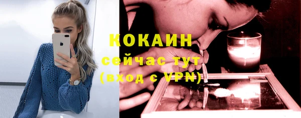 кокс Алексин