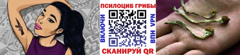 Галлюциногенные грибы Psilocybine cubensis  купить наркотик  Томск 