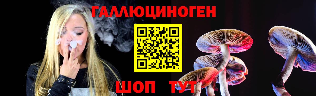 Псилоцибиновые грибы GOLDEN TEACHER Томск