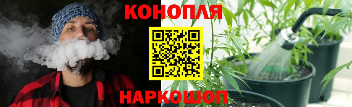 Канабис сатива Томск